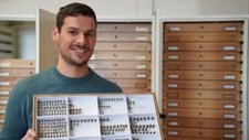 10 % das abelhas selvagens europeias ameaçadas de extinção