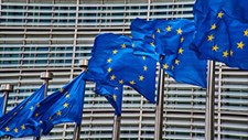 Comissão Europeia simplifica rótulos de eletrodomésticos e pneus para poupar 125M€ por ano