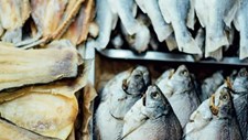 Consumimos muito pescado em Portugal, mas também o desperdiçamos. Qual o destino deste desperdício?