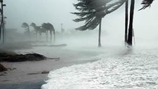 Estratégia de adaptação às alterações climáticas entra em consulta pública