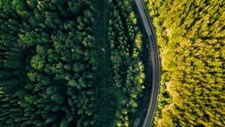 Lançada a plataforma do mercado voluntário de carbono