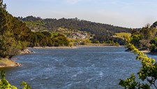 Mangualde avalia adesão à Águas do Douro e Paiva