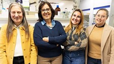 Metais do grupo da platina contaminam organismos marinhos