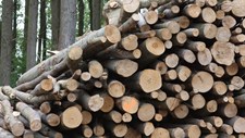 Há um novo regime de remuneração para as centrais de biomassa