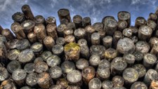 ProSpec vence prémio EIT na categoria Raw Materials