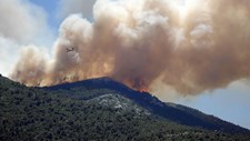 UE mobiliza apoio à medida que os incêndios florestais se alastram pela Europa