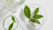 Usar resíduos agrícolas em produtos cosméticos