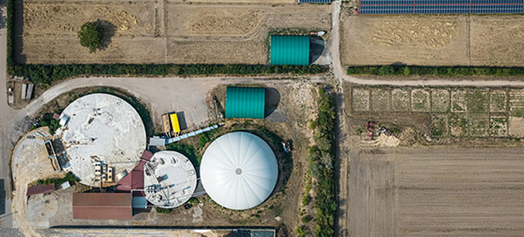 Bioenergia em Portugal Do plano de ação à descarbonização real