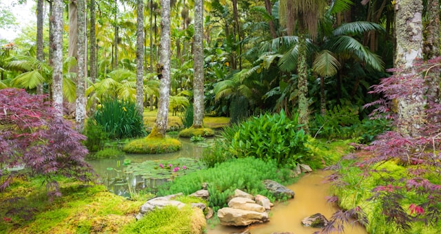 Proposta do Plano Nacional de Restauro da Natureza entra em consulta pública